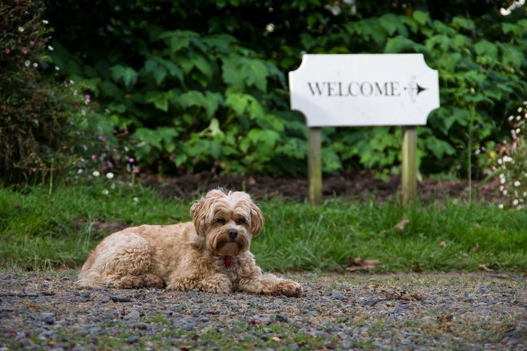 Ugbrooke Country Estate Hotel Lower Dashwood Luaran gambar